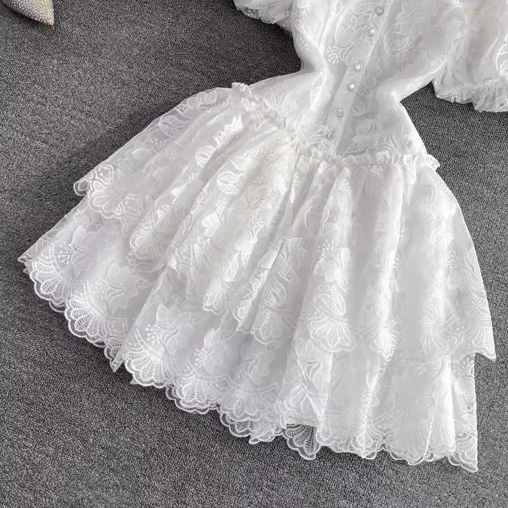 Embroidered Puff Sleeve A-Line Cake Dress for Women     S4324