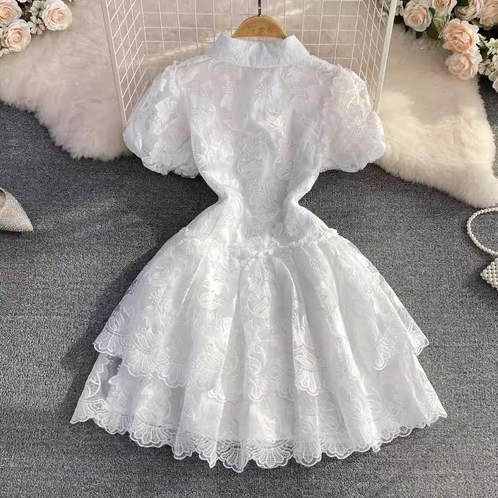 Embroidered Puff Sleeve A-Line Cake Dress for Women     S4324