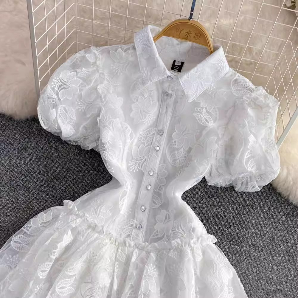 Embroidered Puff Sleeve A-Line Cake Dress for Women     S4324