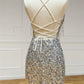 V Neck Lace-Up Sequins Tight Homecoming Dress with Tassels        S3063