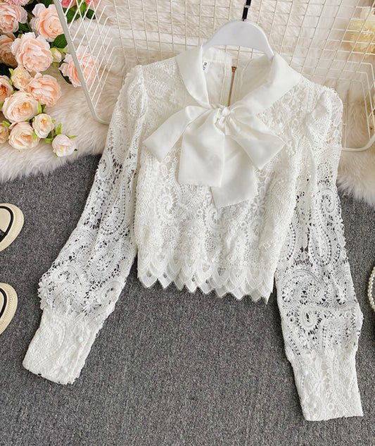 White Hollow Lace Top     S4389
