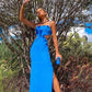 Blue Formal Evening Dresses Long Prom Dresses        S3815