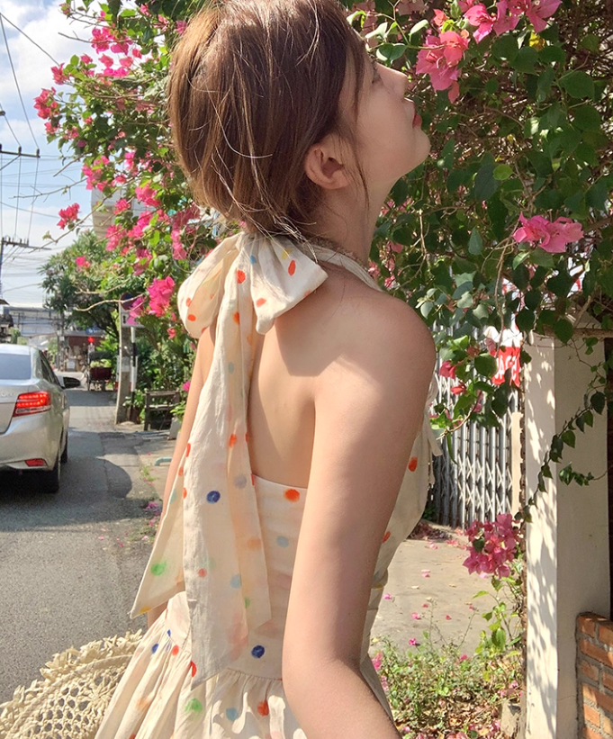 V-neck polka dot halter neck a-line dress women's summer French waist skirt R4661