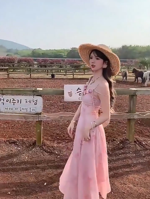 Tea break gentle style floral dress large size sweet holiday style pleated slim long skirt R1821