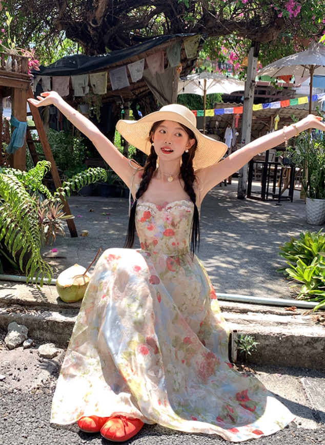 Long Printed Romantic Rose Garden Butterfly Dress Summer French Style Dress R4907