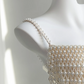Light champagne-colored halter-neck fitted long ball gown, bridal gown R8858