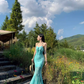 Beautiful step by step lotus fishtail dress sexy temperament holiday show figure suspender skirt R1568