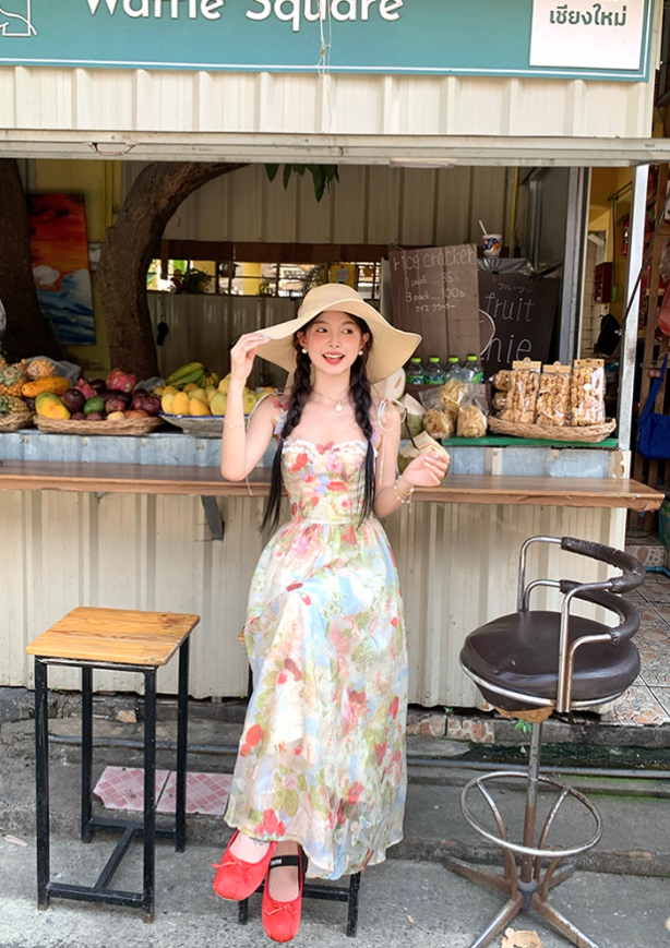 Long Printed Romantic Rose Garden Butterfly Dress Summer French Style Dress R4907