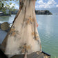 Retro high-end backless sexy halter neck dress waist temperament holiday long dress R1435