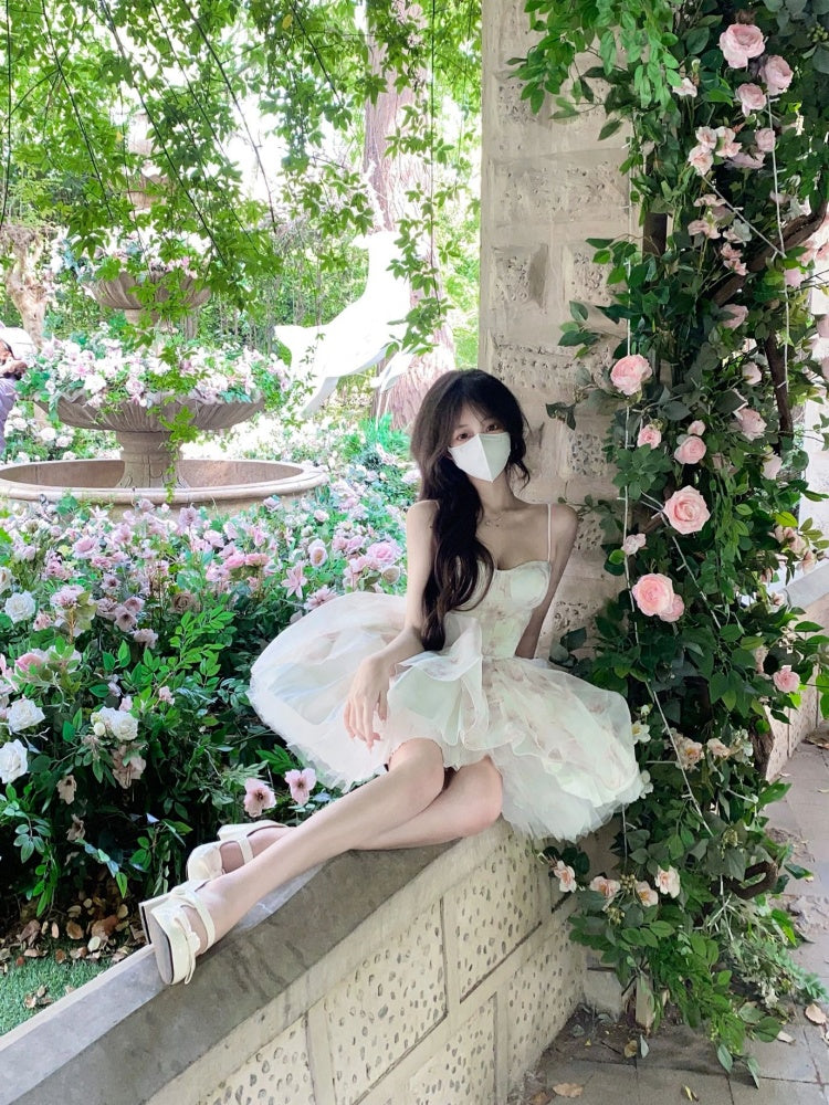 Puffy runaway princess dress dress high-end niche tube top dress female homecoming dress R3006