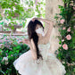 Puffy runaway princess dress dress high-end niche tube top dress female homecoming dress R3006