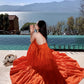 A Line Orange Long Stunning Evening Gown Party Prom Dress       S7290