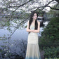 French style mesh suspender dress for holiday, niche design, slim fit, elegant long dress R1803