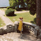 French pastoral style yellow suspender long dress lace girlish dress R5068