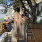 Retro high-end backless sexy halter neck dress waist temperament holiday long dress R1435