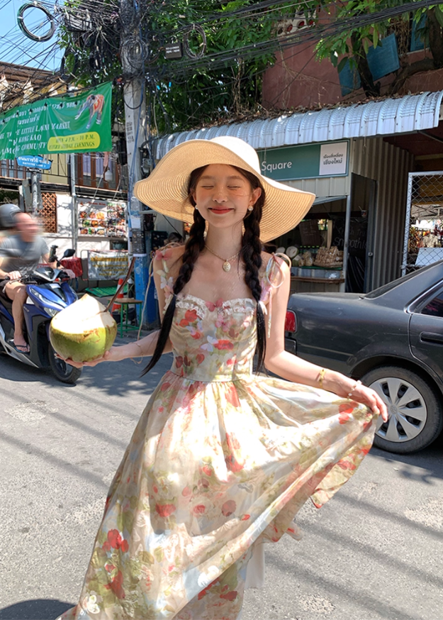 Long Printed Romantic Rose Garden Butterfly Dress Summer French Style Dress R4907