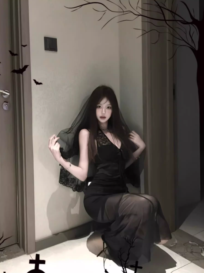 Christmas Black V-neck Lace Dress 2025 Mesh Hip Fishtail Skirt R1024