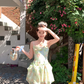 Mid-length chiffon waist-hugging sling neckline A-line dress summer French style slim temperament skirt R4737