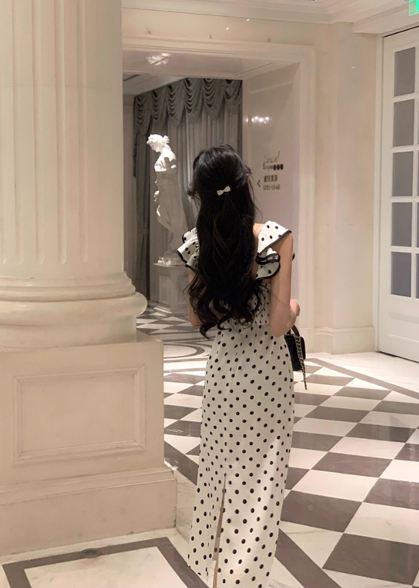 French retro polka dot dress for women, new style this year's popular temperament long skirt R4416