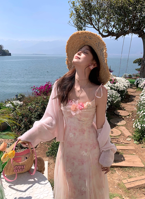 Pink long atmospheric mesh halter dress for women, a summer French retro slimming dress R4788