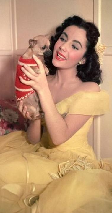 Yellow one-shoulder gentle princess style slim fit long skirt homecoming dress R2485