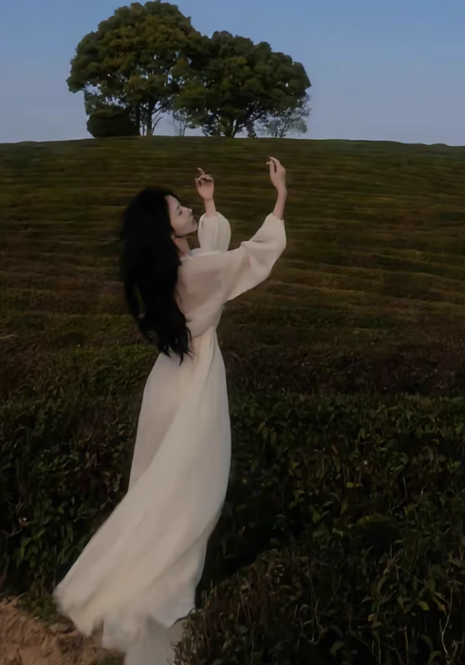 White dress, super fairy temperament chiffon skirt, waist slimming V-neck long sleeve long skirt R1707