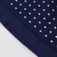 2025 Summer New Blue Polka Dot French V-neck Retro Temperament Long Dress R0947