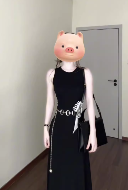 French black sleeveless vest dress 2025 new style temperament high-end waist A-line long skirt R0420