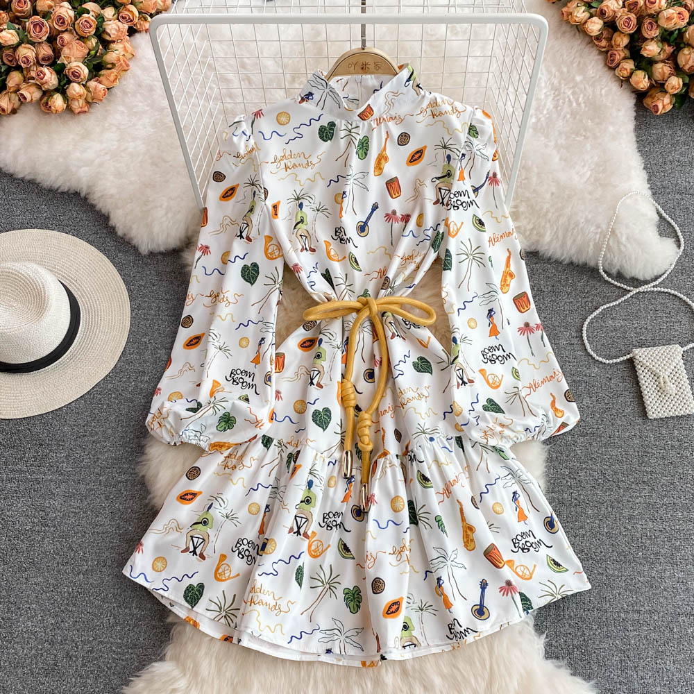 Cute A line long sleeve dress fashion dress       S507