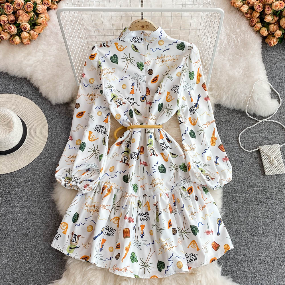 Cute A line long sleeve dress fashion dress       S507