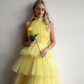 Luxury evening dress with open back, bridesmaid dress, wedding guest dress, birthday woman dress, tea length woman dress   S2324